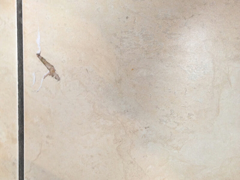 Porcelain tile chip before repair
